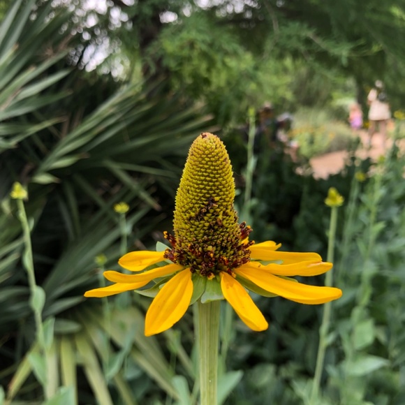 Meet your Posher, Yevgenia - Picture 2 of 2